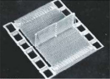 Wire Conveyor Belt Suppliers